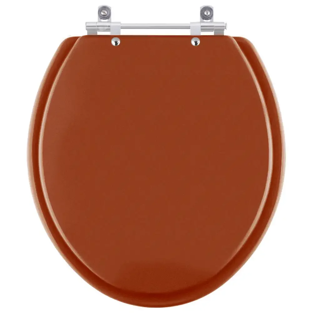 Assento Sanitário Izy Caramelo Para Louça Deca - 1