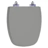 Tampa de Vaso Sanitário com Amortecedor Monte Carlo Cinza Vip (Cinza Escuro) para bacia Deca - 1