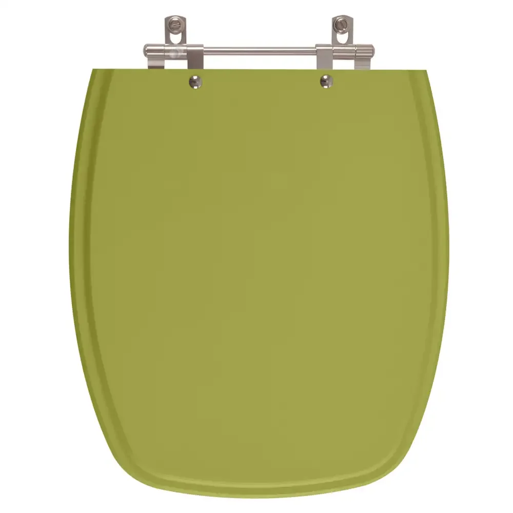 Assento Sanitário Stylus Verde Itapuã para vaso Celite - 1