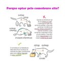 Ver imagem 3 de Comedouro Alto Pet Inox para Gatos Duplo Ração Agua Azul