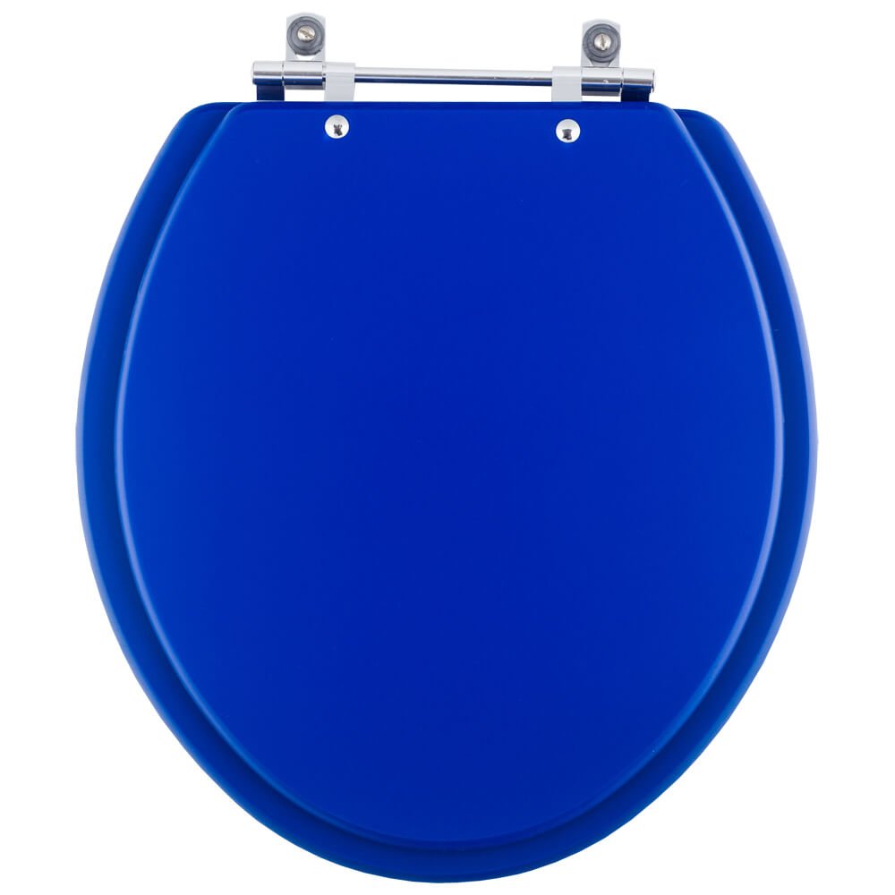 Assento Sanitário Convencional Oval Azul - 1