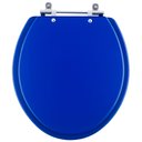 Ver imagem 1 de Assento Sanitário Convencional Oval Azul
