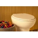 Ver imagem 6 de Assento Sanitário Parati Areia (Bege) para vaso Logasa