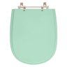 Assento Sanitário Paris Verde Claro Para Louça Ideal Standard - 1
