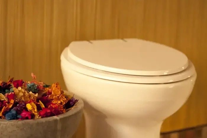 Assento Sanitário Saveiro Pergamon (Bege Claro) Para Louça Celite - 6