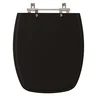 Assento Sanitário Laguna Preto Para Louça Hervy - 1