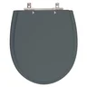 Assento Sanitário Polo Cinza Plus Para Louça Hervy - 1