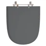 Assento Sanitário Ezedra Cinza Quartzo (Cinza Escuro) Para Louça Ideal Standard - 1