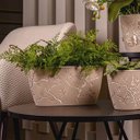 Ver imagem 4 de Kit 3 Vasos de Flor Plantas Cachepot 3D Floreira de Mesa Plástico 4,1L cada Borboletas Plasvale