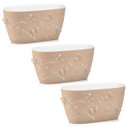 Ver imagem 1 de Kit 3 Vasos de Flor Plantas Cachepot 3D Floreira de Mesa Plástico 4,1L cada Borboletas Plasvale