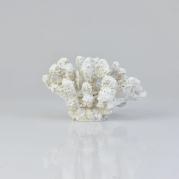 Escultura Decorativa Aquário Coral Artificial Resina Branco - 2
