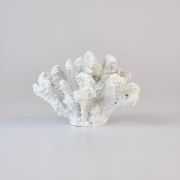 Escultura Decorativa Aquário Coral Artificial Resina Branco - 3
