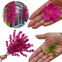Ver imagem 5 de Kit 20 Hastes Cerejeira Artificial 125cm Flores Permanentes para Casa e Eventos