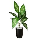 Ver imagem 4 de Kit 9 Plantas Artificiais Comigo Ninguém Pode Decorativa Premium Silicone Toque Realista Permanente