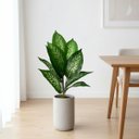 Ver imagem 7 de Kit 9 Plantas Artificiais Comigo Ninguém Pode Decorativa Premium Silicone Toque Realista Permanente