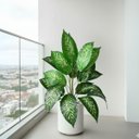 Ver imagem 6 de Kit 9 Plantas Artificiais Comigo Ninguém Pode Decorativa Premium Silicone Toque Realista Permanente