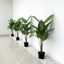 Ver imagem 1 de Kit 9 Plantas Artificiais Comigo Ninguém Pode Decorativa Premium Silicone Toque Realista Permanente