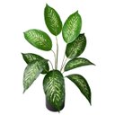 Ver imagem 3 de Kit 9 Plantas Artificiais Comigo Ninguém Pode Decorativa Premium Silicone Toque Realista Permanente