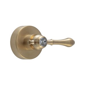 Acabamento de Registro para Banheiro Subaé Pingoo.casa - Dourado