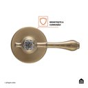 Ver imagem 4 de Acabamento de Registro para Banheiro Subaé Pingoo.casa - Dourado