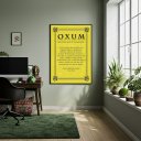 Ver imagem 2 de Quadro Decorativo Oração Oxum - 70x50cm:moldura Preta