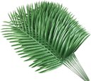 Ver imagem 1 de 10 Folhas de Mini Palmeira Verde Arranjos e Buque Decoração