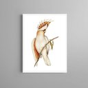 Ver imagem 2 de Quadro Decorativo Passarinho Cacatua 45x34cm:moldura Preta