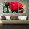 Quadro canvas 45x96 uma rosa entre botões - 2