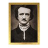 Quadro literatura gótica terror classico allan poe drd54 - 1