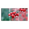 Quadro canvas 45x96 gota dágua na fruta vermelha - 1