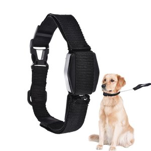 Guia Coleira Magnética Cachorro 2 em 1 Retrátil Alça Cães Gatos Treinamento Adestramento Lucky Leash