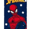 Toalha de Banho Infantil Felpuda Homem Aranha Marvel - 2