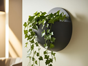 Ver imagem 1 de Vasos para Plantas Esféricos de Parede