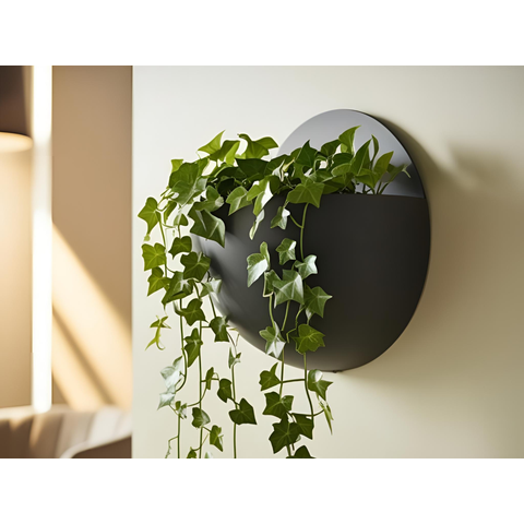 Vasos para Plantas Esféricos de Parede