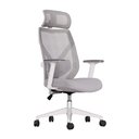 Ver imagem 1 de Cadeira Escritório Ergonômica Confortável Premium Elements Albari Certificado Nr17