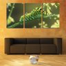 Quadro canvas 55x110 lagarta colorida em galho verde - 2