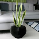 Ver imagem 2 de Vaso Bolonha Preto