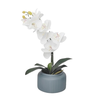 Arranjo com Orquídea Artificial e Vaso Decorativo - 1