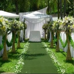 Passadeira Carpete para Casamento Festas 5 Metros - Verde Grama - 3