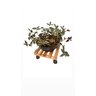 Deck de Madeira 30cm com Rodas Suporte para Plantas - 3