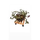 Ver imagem 3 de Deck de Madeira 30cm com Rodas Suporte para Plantas