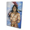 Quadro Decorativo Indio Malhado Ilustrativo - 1