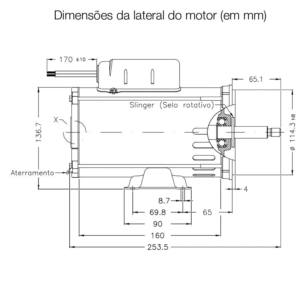 Motor Weg para Bomba de Piscina 1/2cv 0,5cv 127/220v Monofásico 2 Polos Jet Pump Jet Pump 1/2cv 110/ - 5