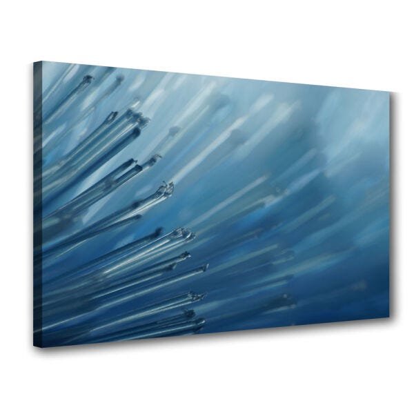 Quadro Decorativo Dente De Leão Foto Proxima - 1