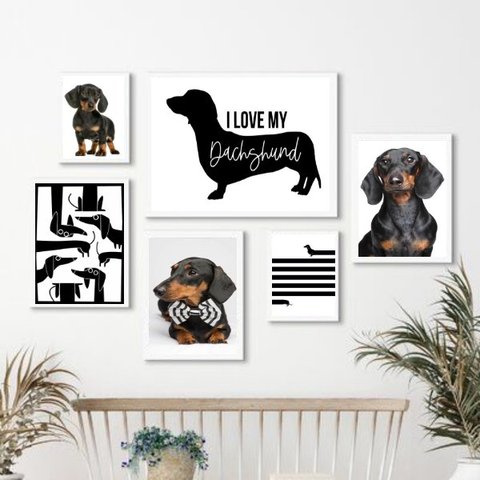 Composição 6 Quadros Cachorro Dachshund - Salsicha:madeira Branca