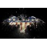 Quadro Decorativo Aguia Americana EUA - 3