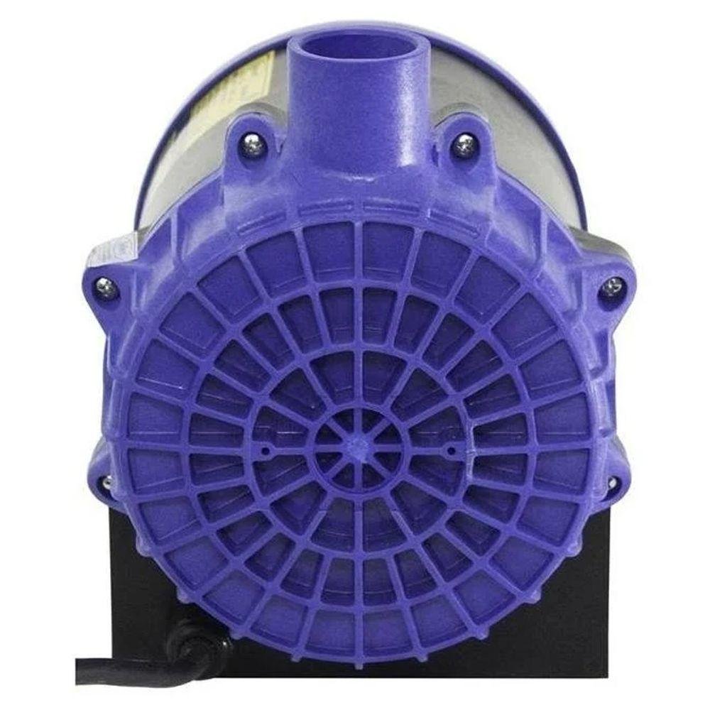 Moto Bomba Hidromassagem Syllent Aqquant 3/4 Cv Autodrenante Voltagem:110v - 9