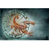 Quadro Decorativo Signo Escorpiao 503 - 3