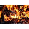 Quadro Decorativo Churrascarias Churrasco Fogo - 3