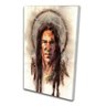 Quadro Decorativo Indio Patajo Ilustrativo de Sala - 1
